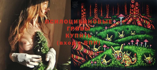 мдма Бородино