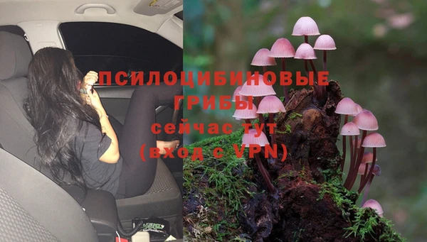 мдма Бородино