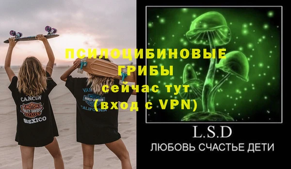 мдма Богородицк
