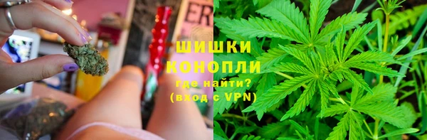 прущая мука Богданович