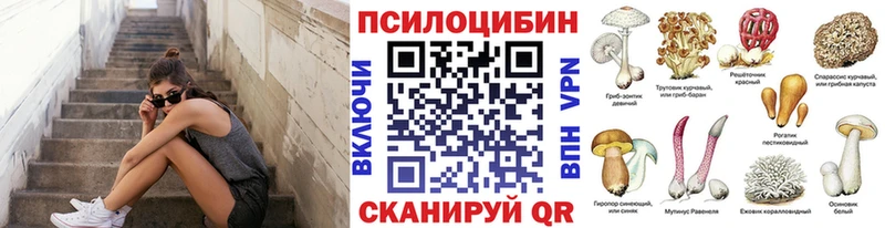 ОМГ ОМГ ONION  даркнет официальный сайт  Псилоцибиновые грибы прущие грибы  наркота  Новое Девяткино 